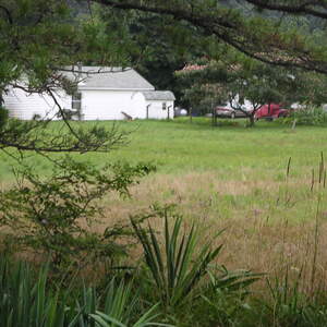 pict0080.jpg