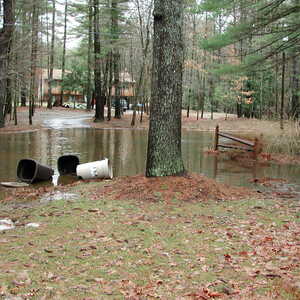 dscn1145.jpg