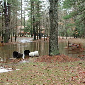 dscn1146.jpg