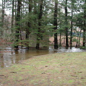 dscn1148.jpg