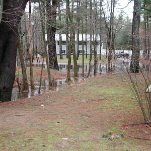 dscn1150.jpg