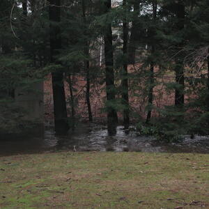 dscn1152.jpg