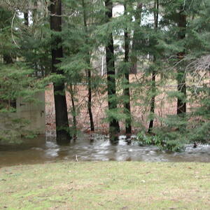 dscn1153.jpg