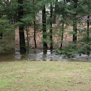 2004_flood
