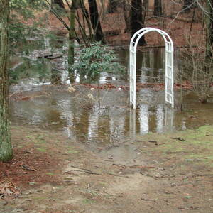 dscn1155.jpg