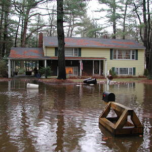 dscn1159.jpg
