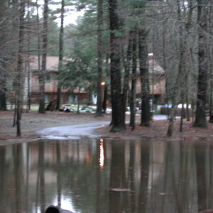 dscn1161.jpg