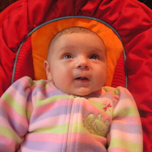 P1010044.jpg