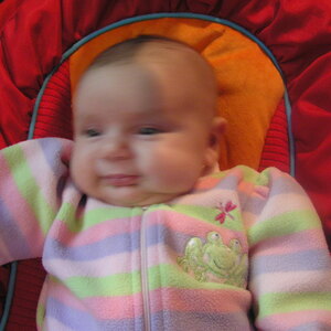 P1010045.jpg