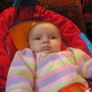 P1010048.jpg