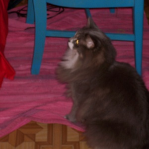101_0002.JPG