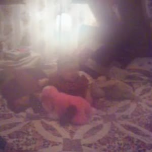 101_0619.mp4