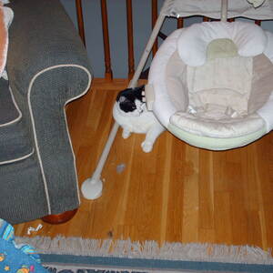 PICT0008.JPG