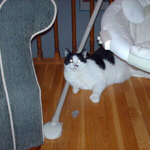 PICT0009.JPG