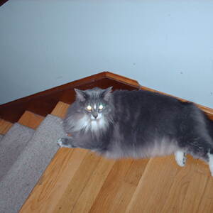 PICT0011.JPG