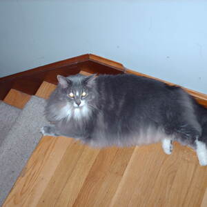 PICT0012.JPG