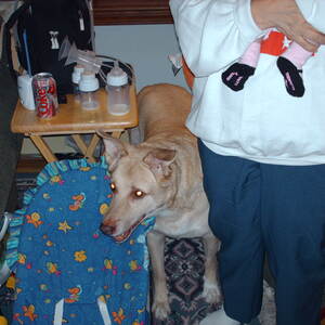 PICT0016.JPG