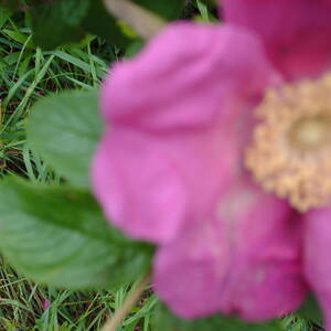 PICT0023.JPG