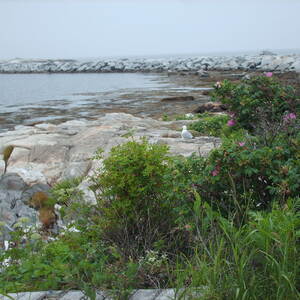 PICT0025.JPG