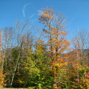 IMG_1643.JPG