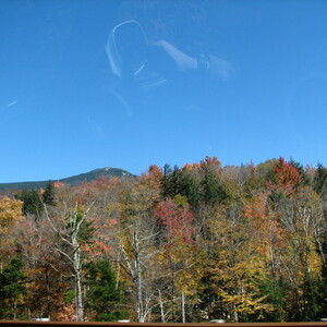 IMG_1644.JPG