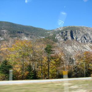 IMG_1649.JPG