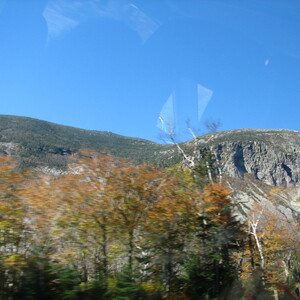 IMG_1650.JPG