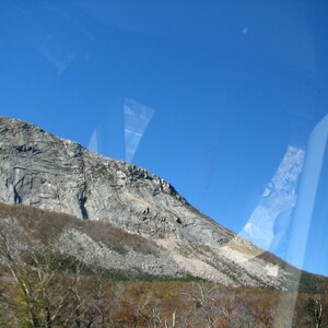 IMG_1654.JPG