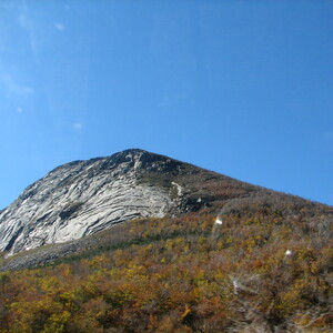 IMG_1661.JPG