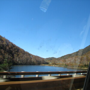 IMG_1662.JPG