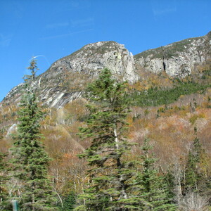 IMG_1664.JPG