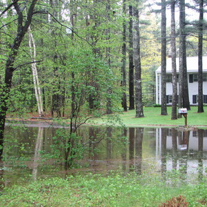 2006_Flood