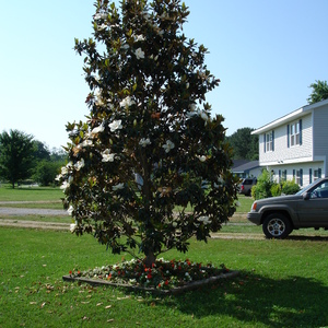 DSC00002.jpg