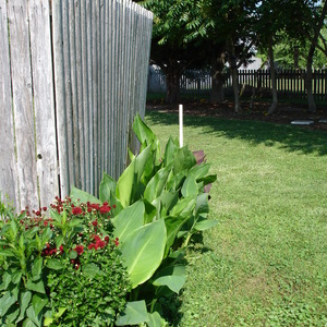 DSC00005.jpg