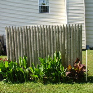 DSC00006.jpg