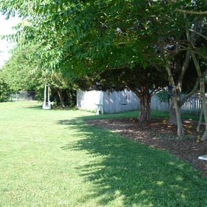 DSC00007.jpg