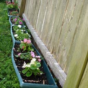 DSC00010.jpg