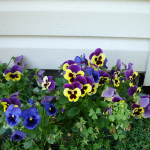 DSC00012.jpg