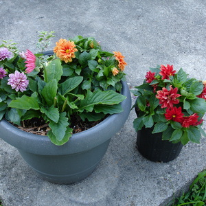DSC00014.jpg