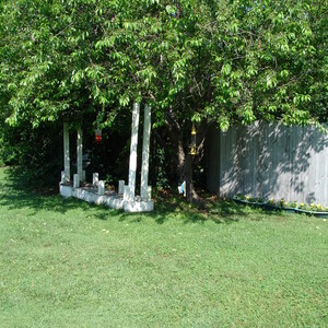 DSC00015.jpg