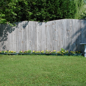 DSC00016.jpg