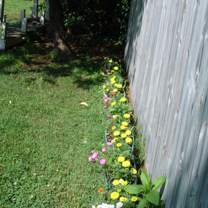 DSC00017.jpg