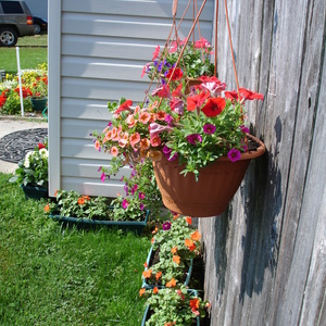 DSC00020.jpg
