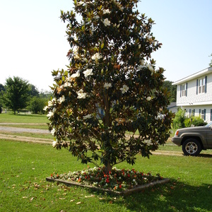 DSC00023.jpg