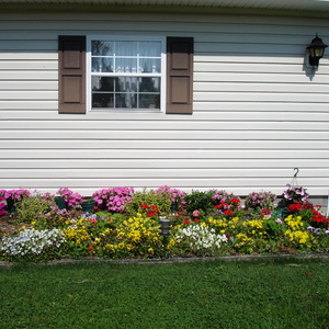 DSC00024.jpg
