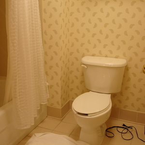 DSC00045.jpg