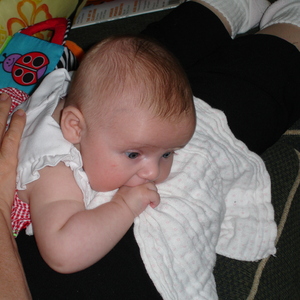 DSC00088.jpg