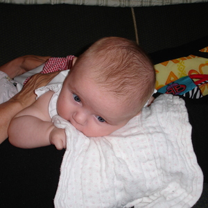 DSC00091.jpg