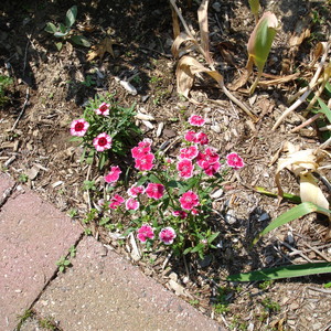 DSC00114.jpg