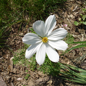 DSC00117.jpg